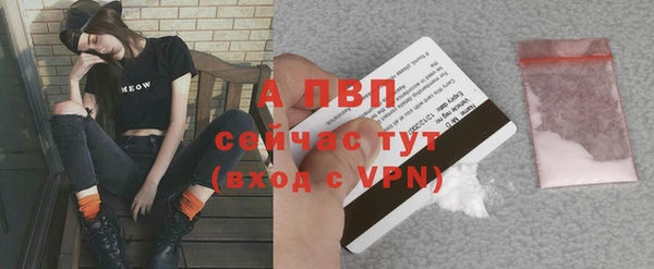 сатива Балахна