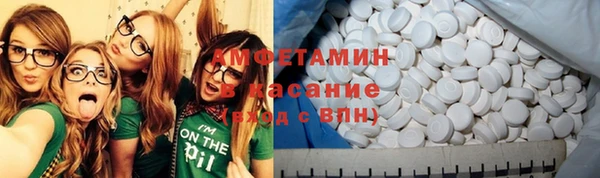 сатива Балахна
