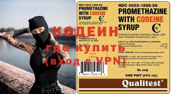 сатива Балахна