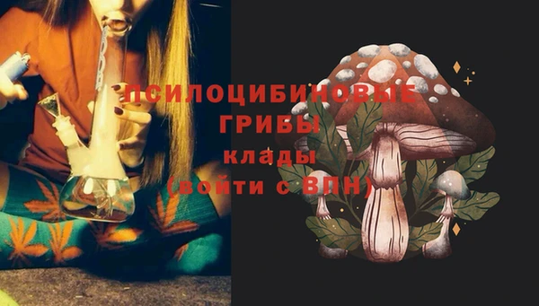 сатива Балахна